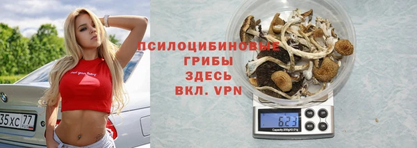 гидра Абдулино